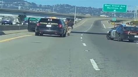 Naked Woman Fires Gun In California During Rush Hour