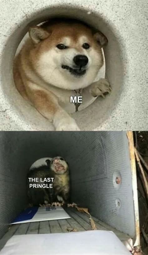 Come here you damn chip | /r/memes | Pringles | Know Your Meme