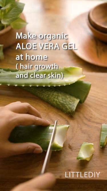 How To Make Pure Organic Aloe Vera Gel And Preserve It For Months The Little Shine Organic