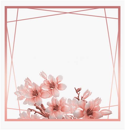 Rose Gold Border Transparent Transparent Rose Gold Border Free Png