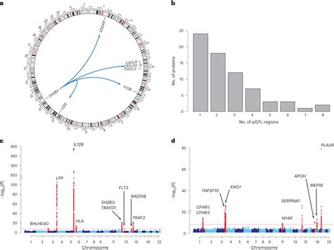 Genetic Architecture Of Inflammation Related Proteins A Circos Plot