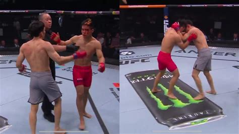 WATCH: "They're still fighting," UFC fighters are going VIRAL for a ...