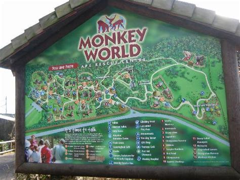 Monkey World Map