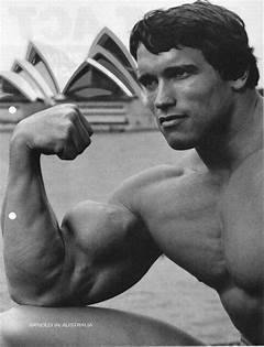 Young Arnold Schwarzenegger