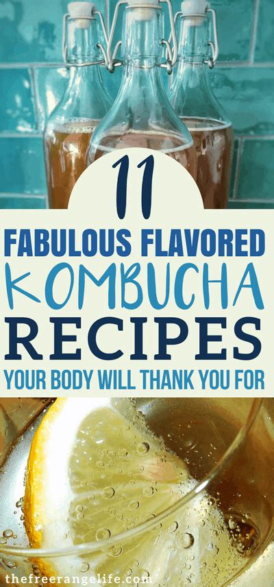 11 Flavored Kombucha Recipes Your Body will Thank You For!