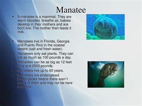 The Art of Combining Awards - ppt download