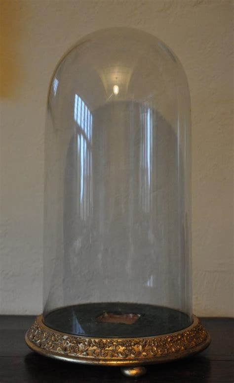 Large Victorian Glass Display Dome Edward Haes