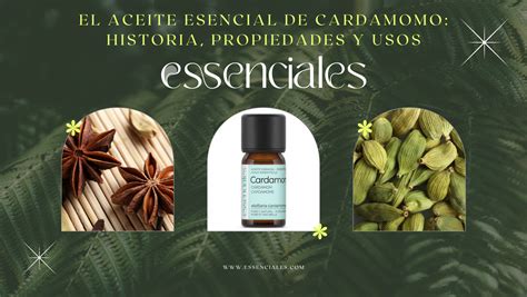 El Aceite Esencial De Cardamomo Historia Propiedades Y Usos Blog De