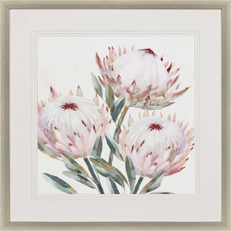 King Protea Ii Framed Art By Paragon