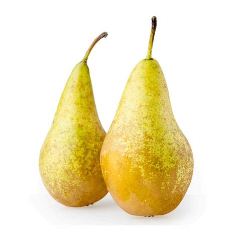 Груша Конференc купить с доставкой на дом, цены в интернет-магазине