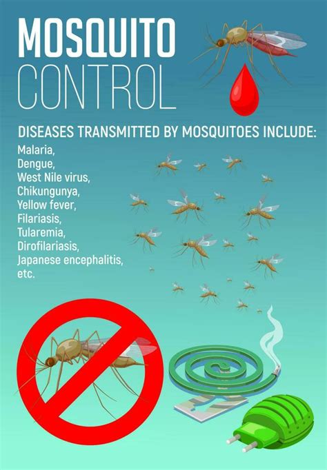 Mosquito And Pest Control Vector Banner 23842542 Vector Art At Vecteezy