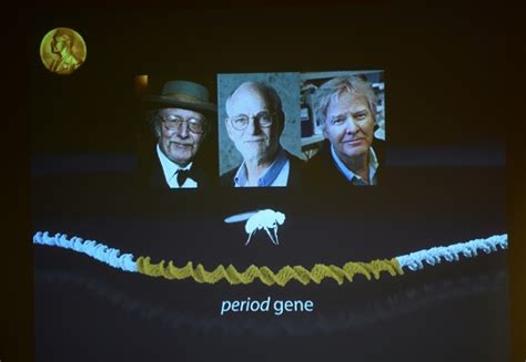 US biology trio wins Nobel Medicine Prize - Breitbart