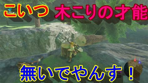 謎解きに弱すぎる男の抗い 名作謎解きゲーをiq3がゆく ゼルダの伝説botw 実況プレイ4 ニコニコ動画