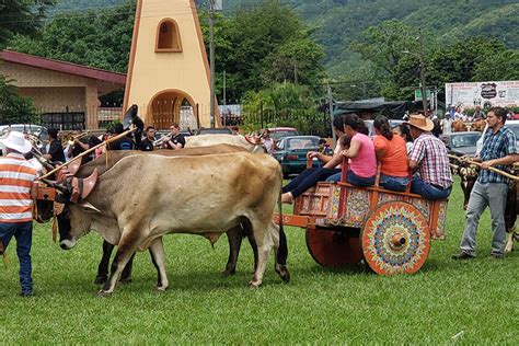 Costa Rica Summer 2023: International Programs: Academic Affairs