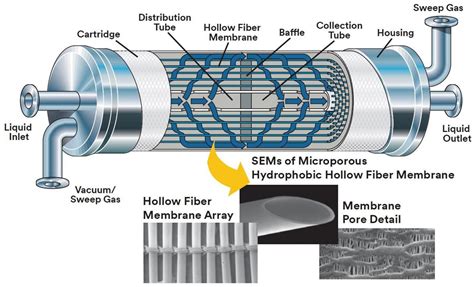 How Does Hollow Fiber Membrane Work? - Membrantec