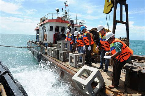 Semester Satu Tahun Pt Timah Tbk Gelontorkan Rp Miliar Dana