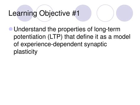 PPT - synaptic plasticity PowerPoint Presentation, free download - ID ...