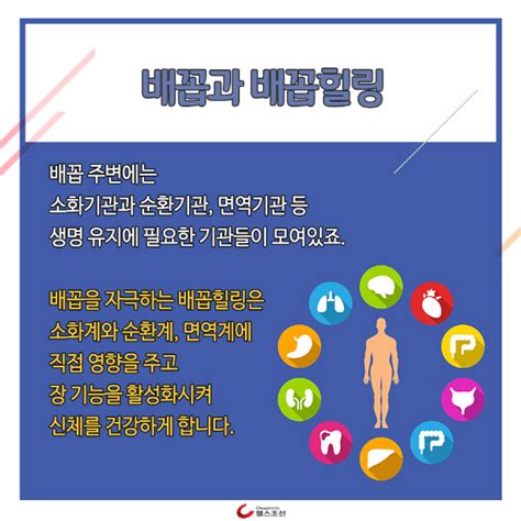 카드뉴스 배꼽힐링으로 시작하는 건강 라이프 당신의 건강가이드 헬스조선