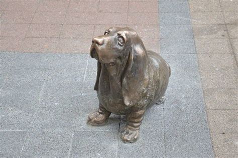 Columbo Statue | Statue, Columbo, Animal pound