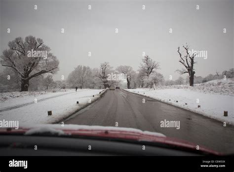 Driving In Snowy Conditionsrichmond Parkrichmond Upon Thamesengland