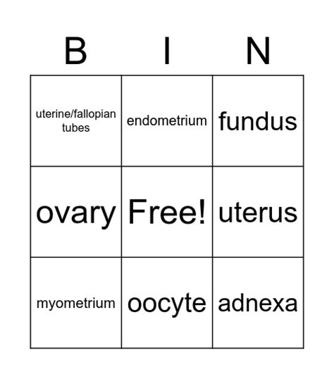 Chapter Femal Reproductive System Obstetrics Bingo Card