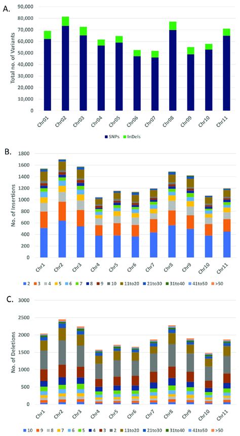 Genome Wide Distribution Of Snps And Indels Chromosome Wise