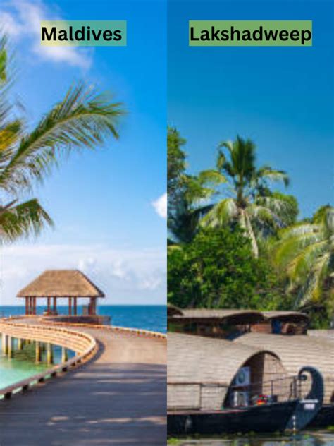 Maldives vs Lakshadweep: Which is Best for Travel | Times Now