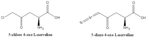 Inhibitors for asparagine synthetase. | Download Scientific Diagram