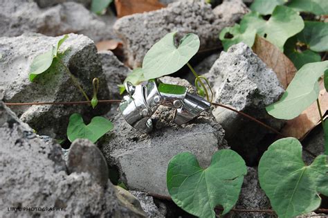 Vivienne Westwood Nana 9 by saiyukiko29 on DeviantArt