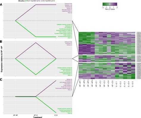 Significant Differentially Expressed Genes Fdr ≤ 005 And Log2fold ≥