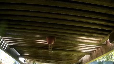 Cock In Sunbed Gay Man Porn Xhamster