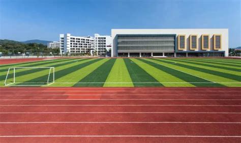 Sports Facility Construction Process: From Planning to Inauguration in ...