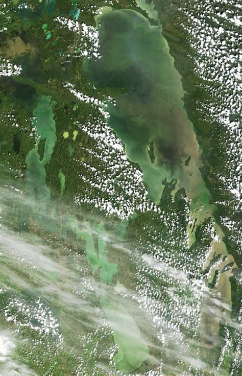 Satellite Images 2006 – Lake Winnipeg Research Consortium