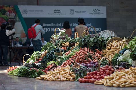 Lunch saludable recomienda IMSS para evitar obesidad en niños LJA