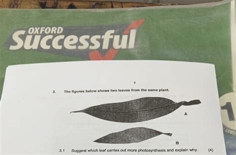 Solved OXFORD3The Figures Below Shows Two Leaves From The Chegg