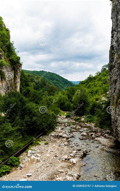 Sohodol Gorges Stock Image Image Of Mountains Rock 258552157