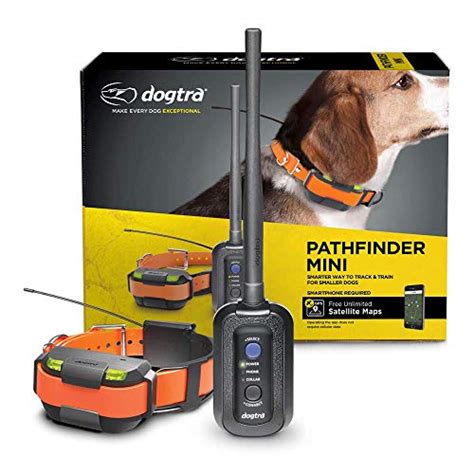 The Best Dog Tracking Collars - Dogtime