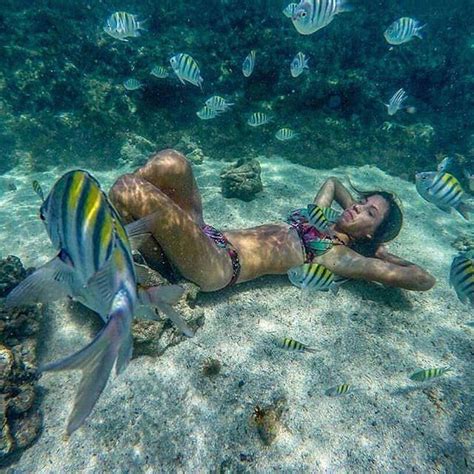 Paripueira Alagoas Brazil As Piscinas Naturais De Paripueira Est O