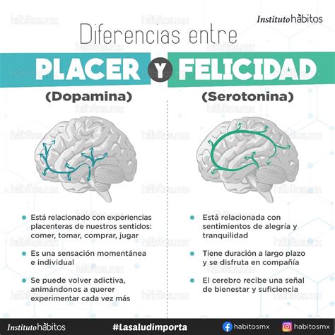 Diferencias entre placer y felicidad Hábitos Health Coaching