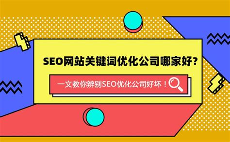 如何选择seo公司（seo站群优化技术） 8848seo