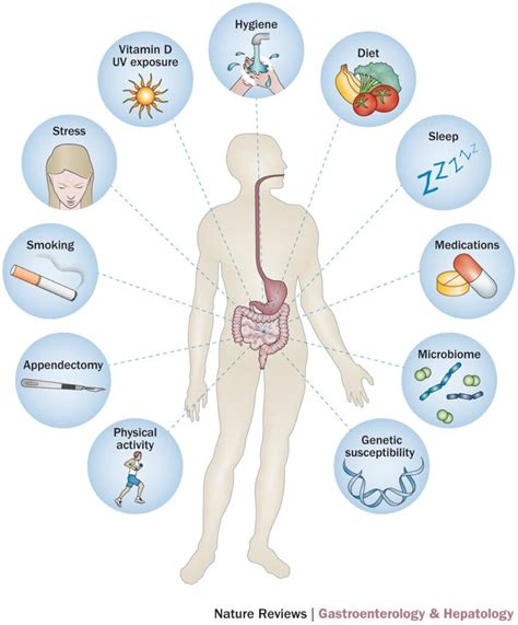 Risk Factors And Precautions For Crohns Disease Ask The Nurse Expert