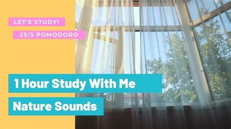 1 HOUR STUDY WITH ME NATURE SOUNDS Pomodoro Session 25 5 Study