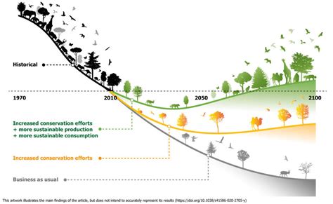 Biodiversity Biodiversity Of Our World