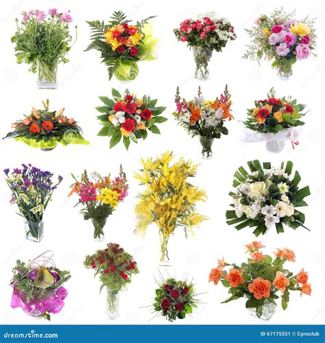 Linguaggio Dei Fiori 5