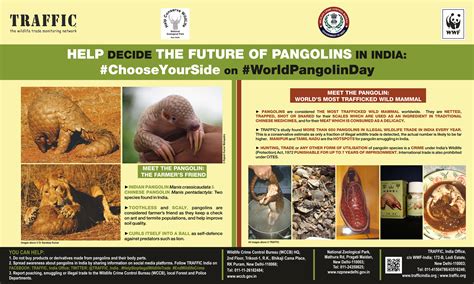 Help decide the future of Pangolins in India: #ChooseYourSide on the