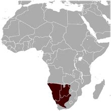 Gemsbok - Wikipedia