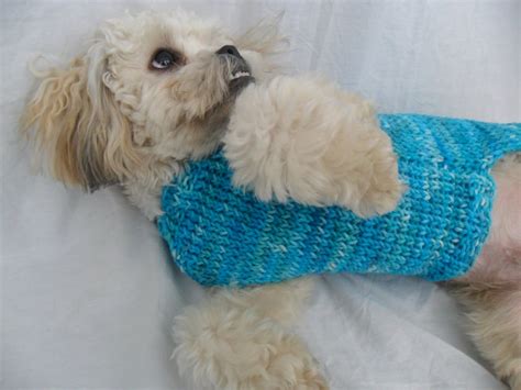 Easy Dog Sweater Knitting Pattern for Medium and Large Dogs - Etsy