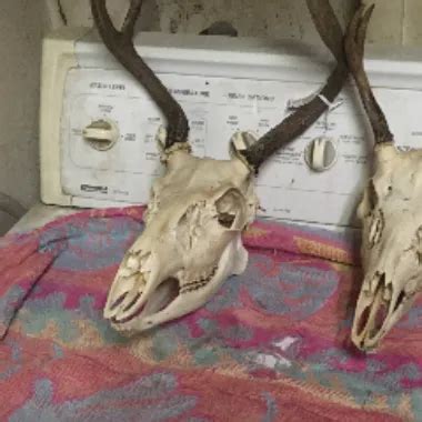 Grandma Milks Him Dry Handjob Handjob Porn Xhamster