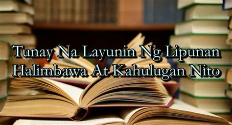 Tunay Na Layunin Ng Lipunan Halimbawa At Kahulugan Nito