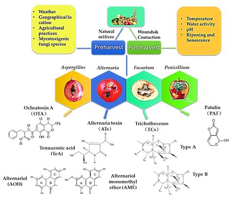 Toxins | Free Full-Text | Contamination, Detection and Control of